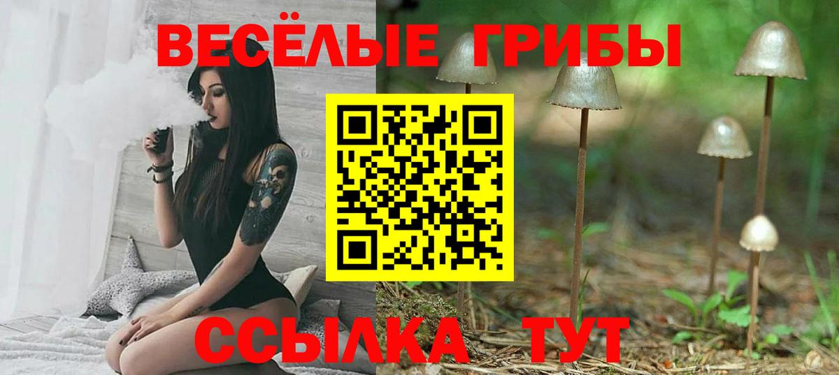 Галлюциногенные грибы Psilocybine cubensis Архангельск